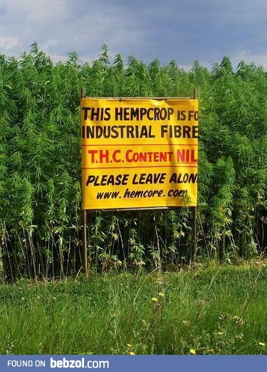 Looks Legit...