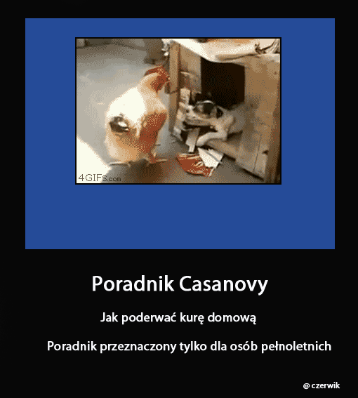 Poradnik Casanovy
