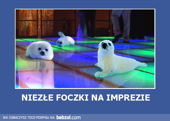 NIEZŁE FOCZKI NA IMPREZIE