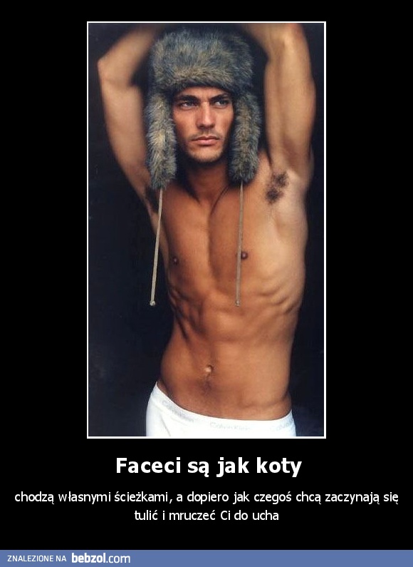 Faceci są jak koty