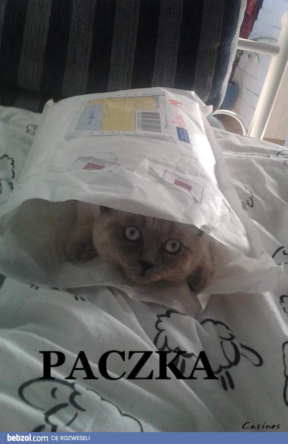 Paczka przyszła
