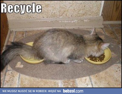 Recycle