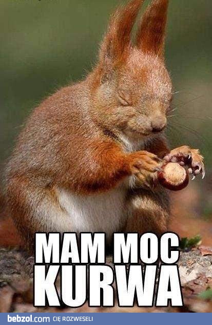 Moc jest w nim silna!