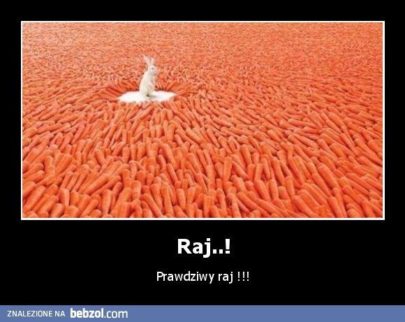 Raj..!