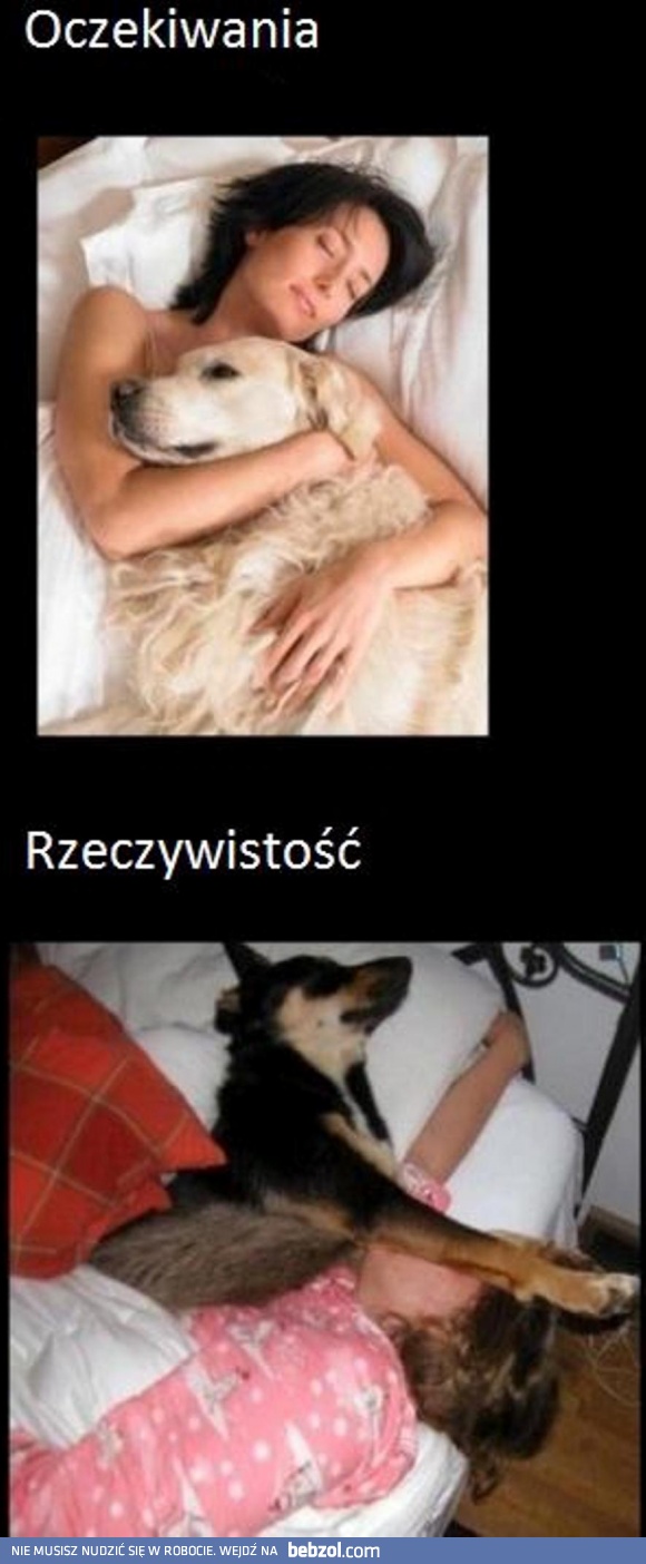 Oczekiwania i rzeczywistość...