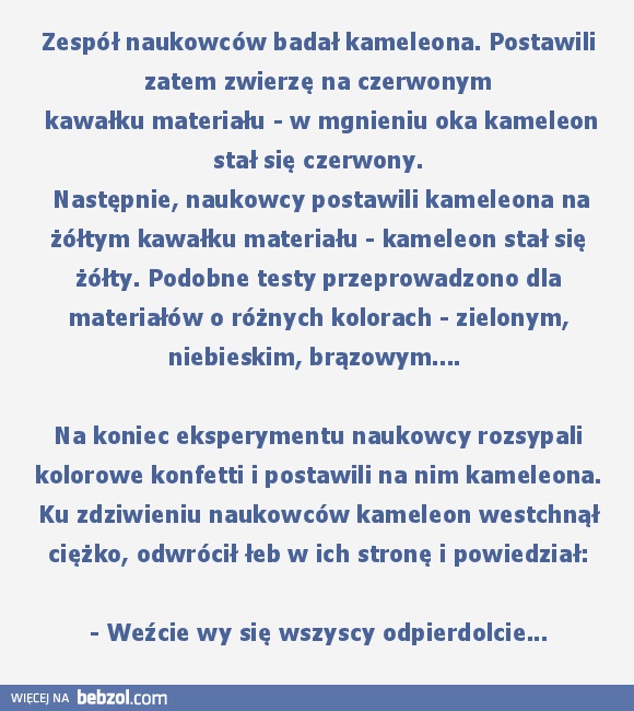 Krótko i dosadnie...