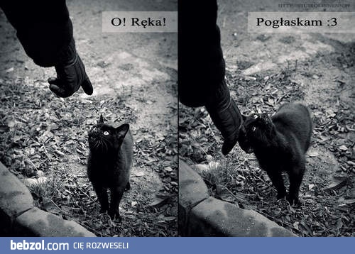 Pogłaskam!