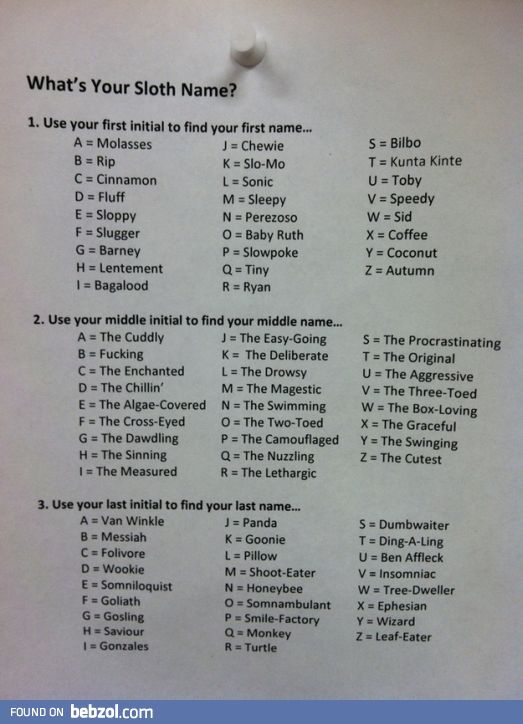 What's Your Sloth Name?