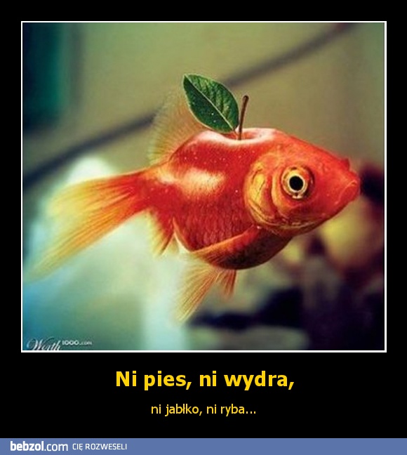 Ni pies, ni wydra,