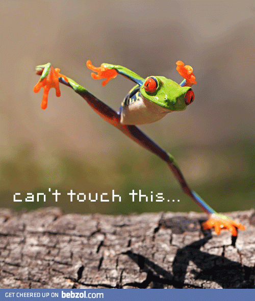 Crazy frog