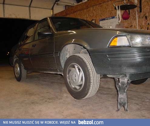 Co ja bym bez Ciebie zrobił