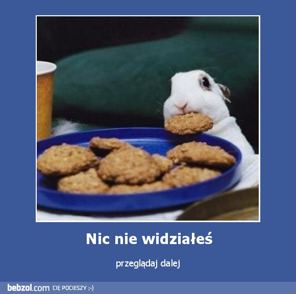 Nic nie widziałeś