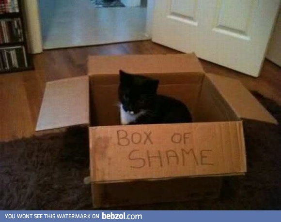 Shame on You