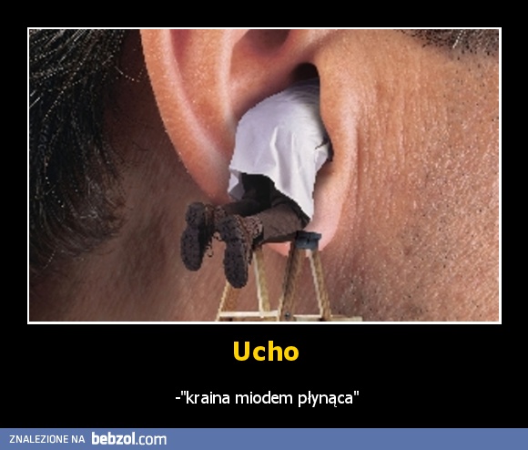 Ucho