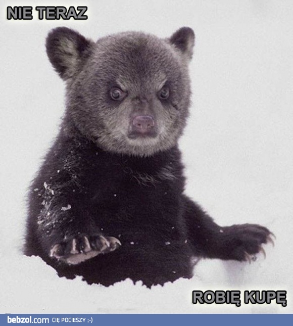 Dajcie trochę czasu... Temu misiu