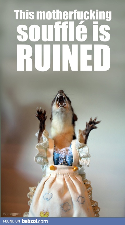 Taxidermy Problems