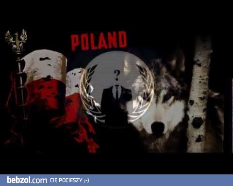 Podsumowanie styczniowych akcji anty-ACTA w Polsce