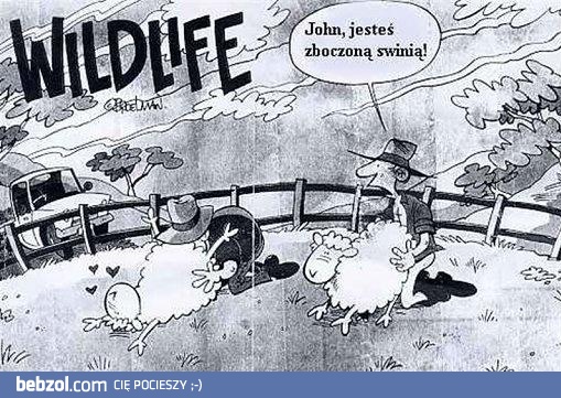 Dzikie życie