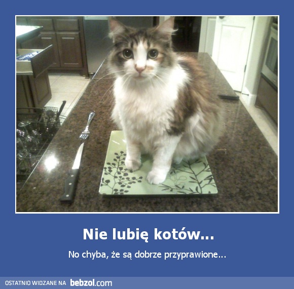 Nie lubię kotów...