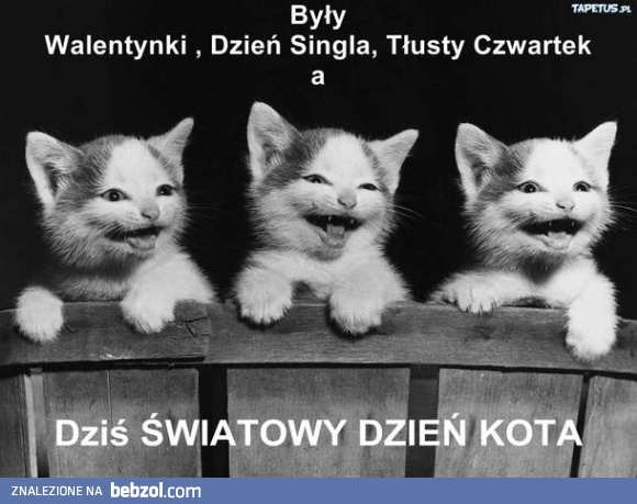 Wygłaszczmy wszystkie!