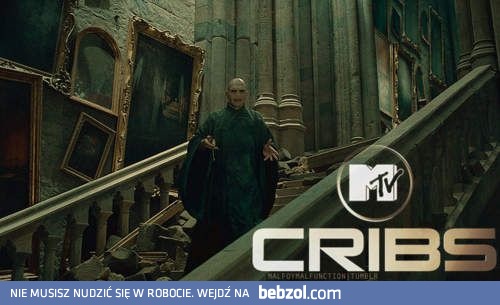 To tu dzieje się cała magia