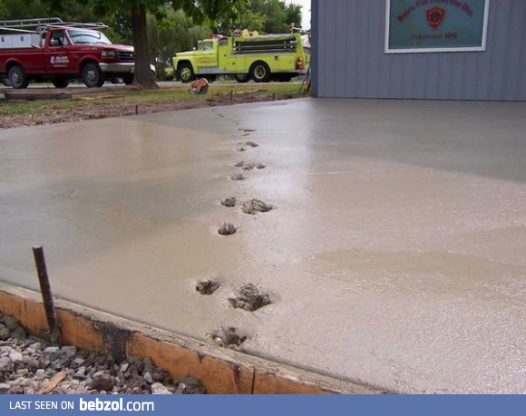 Little Motherf**ker!