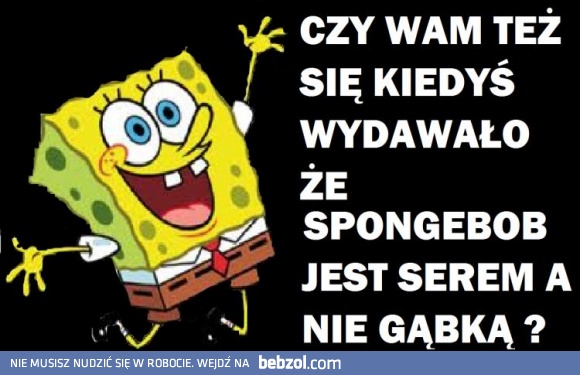 Pan Gąbka nie jest gąbką?