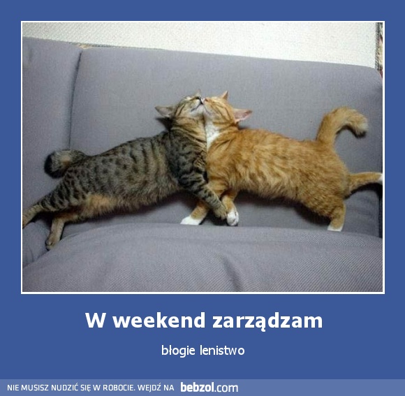 W weekend zarządzam