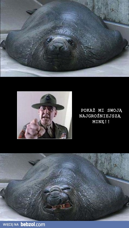 Mamy tu prawdziwego zabijakę