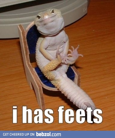 Dude, why did you put me on this chair? I've gotta pee!