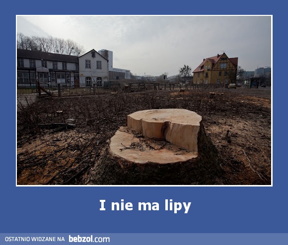 I nie ma lipy