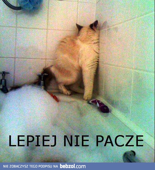 W potrzasku