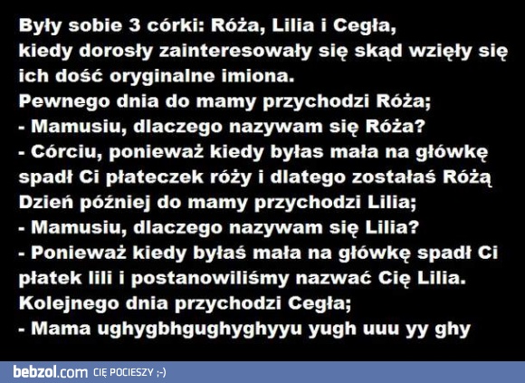 Róża, Lilia i Cegła