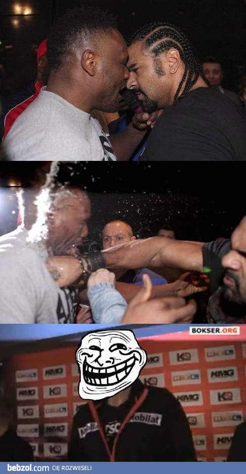 Angielscy bokserzy...