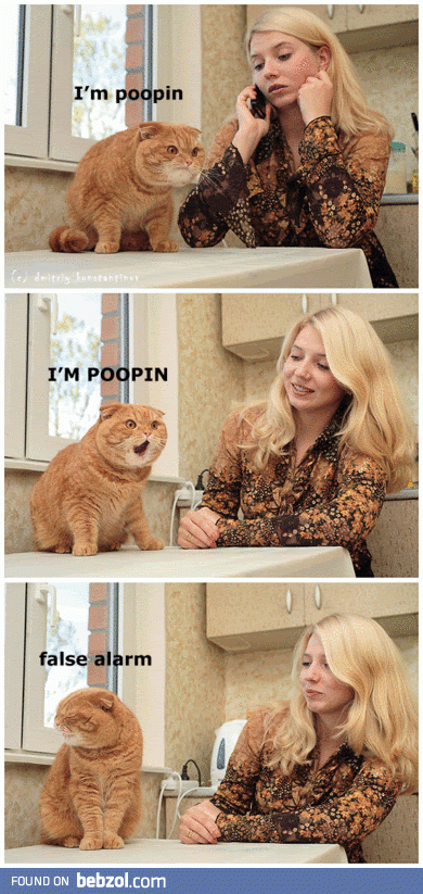 I'm poopin