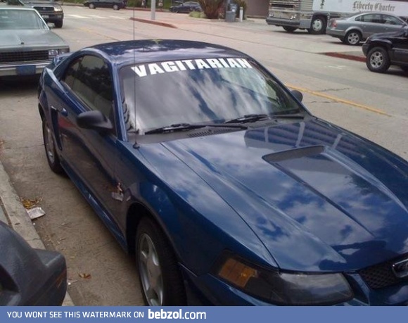 This guy must get all the ladies
