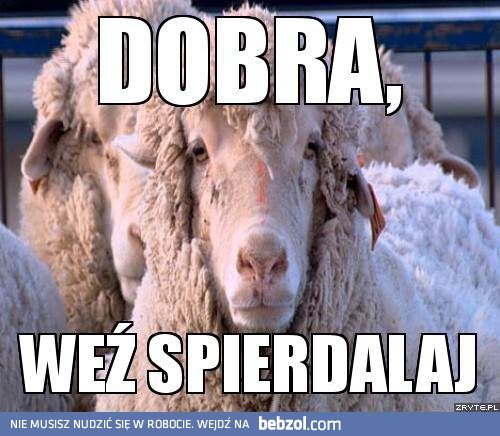 Mam już dość...