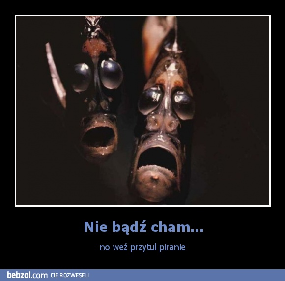 Nie bądź cham...