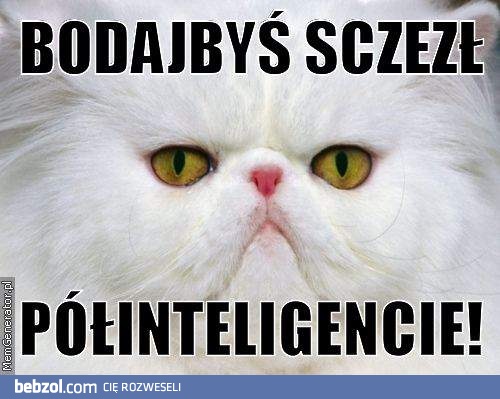 Ty półinteligencie!