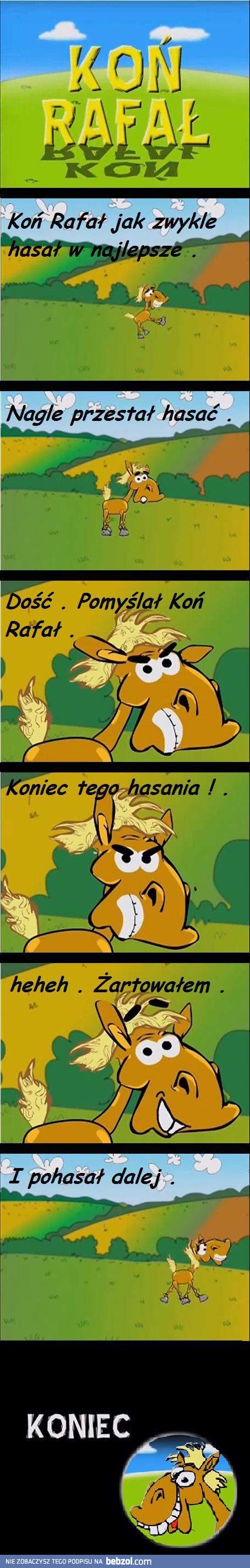 Koń Rafau i hasanie