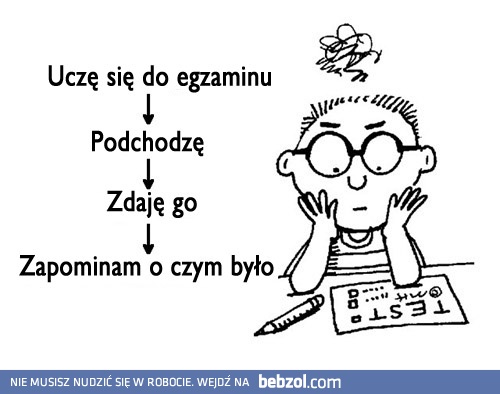 Przeciętny student