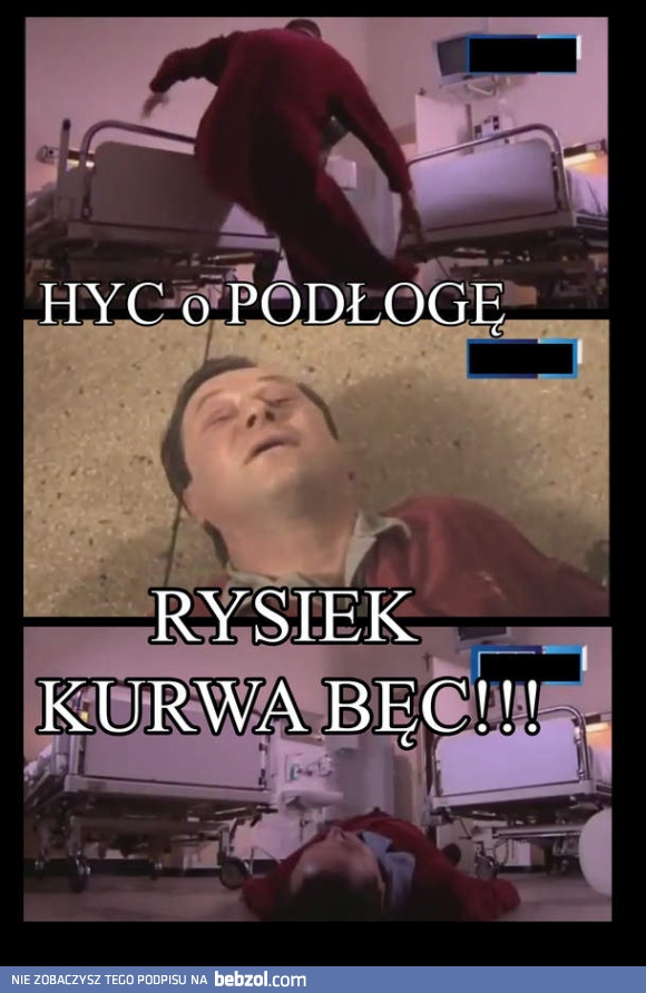 Hyc o podłogę!