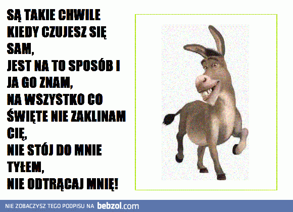 Ośla piosenka