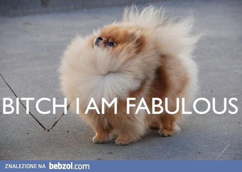 BITCH I AM FABULOUS!