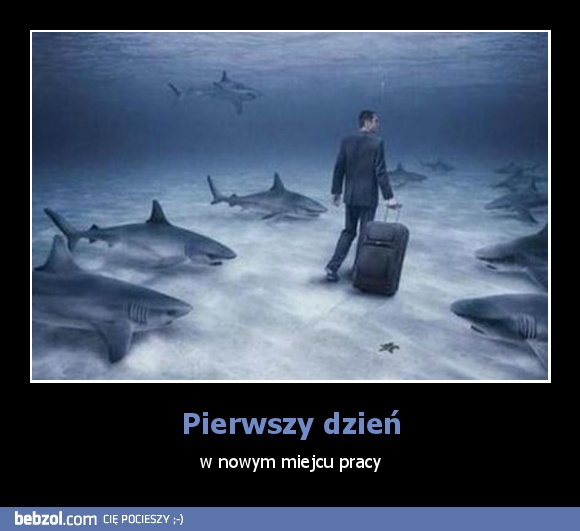 Pierwszy dzień