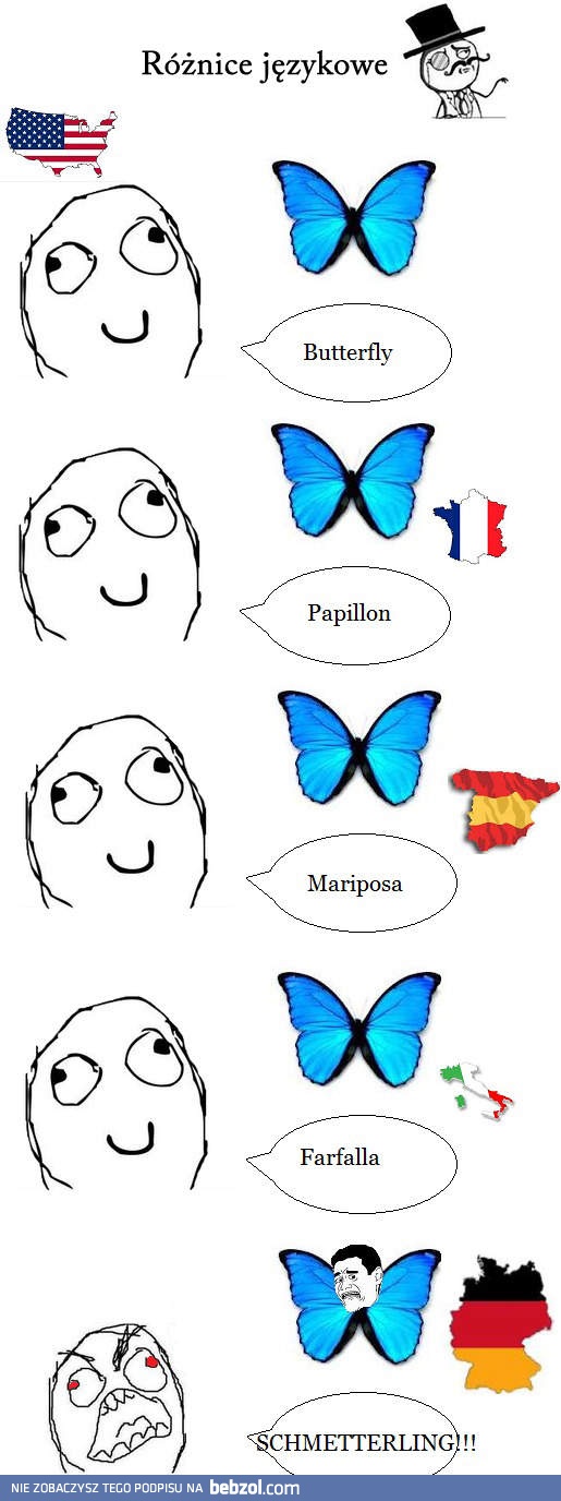 Motyl w różnych językach