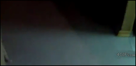 Kot zombie