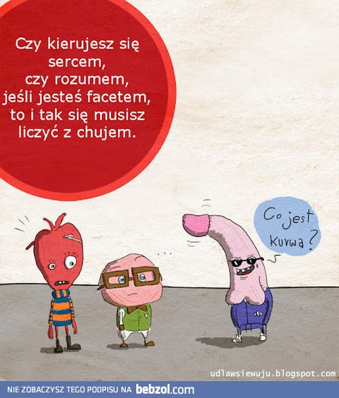 Serce, rozum, a może...