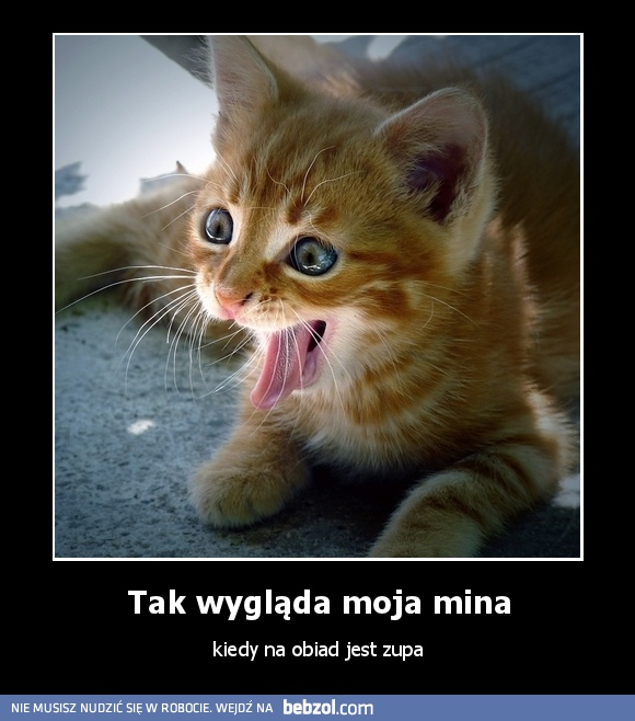 Tak wygląda moja mina