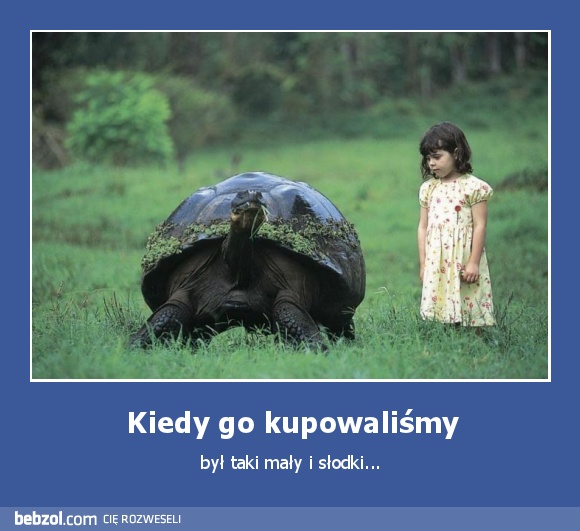 Kiedy go kupowaliśmy